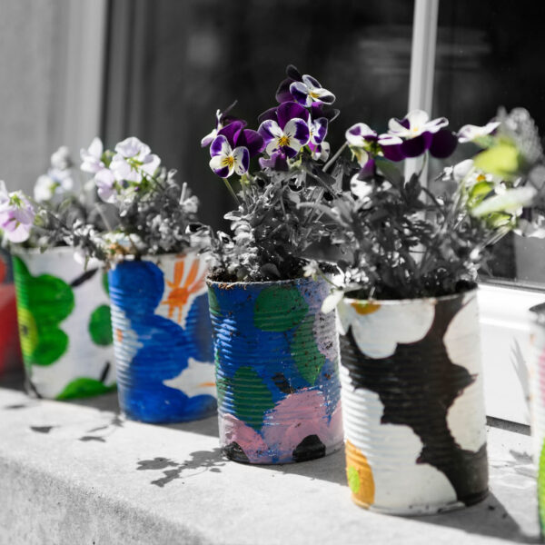 image of a windowsill of flowers in repurposed tin cans painted bright colors