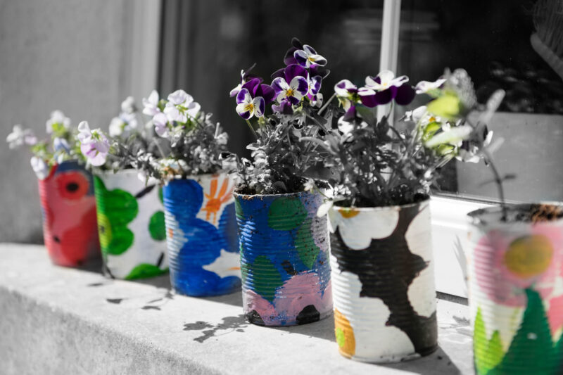 image of a windowsill of flowers in repurposed tin cans painted bright colors