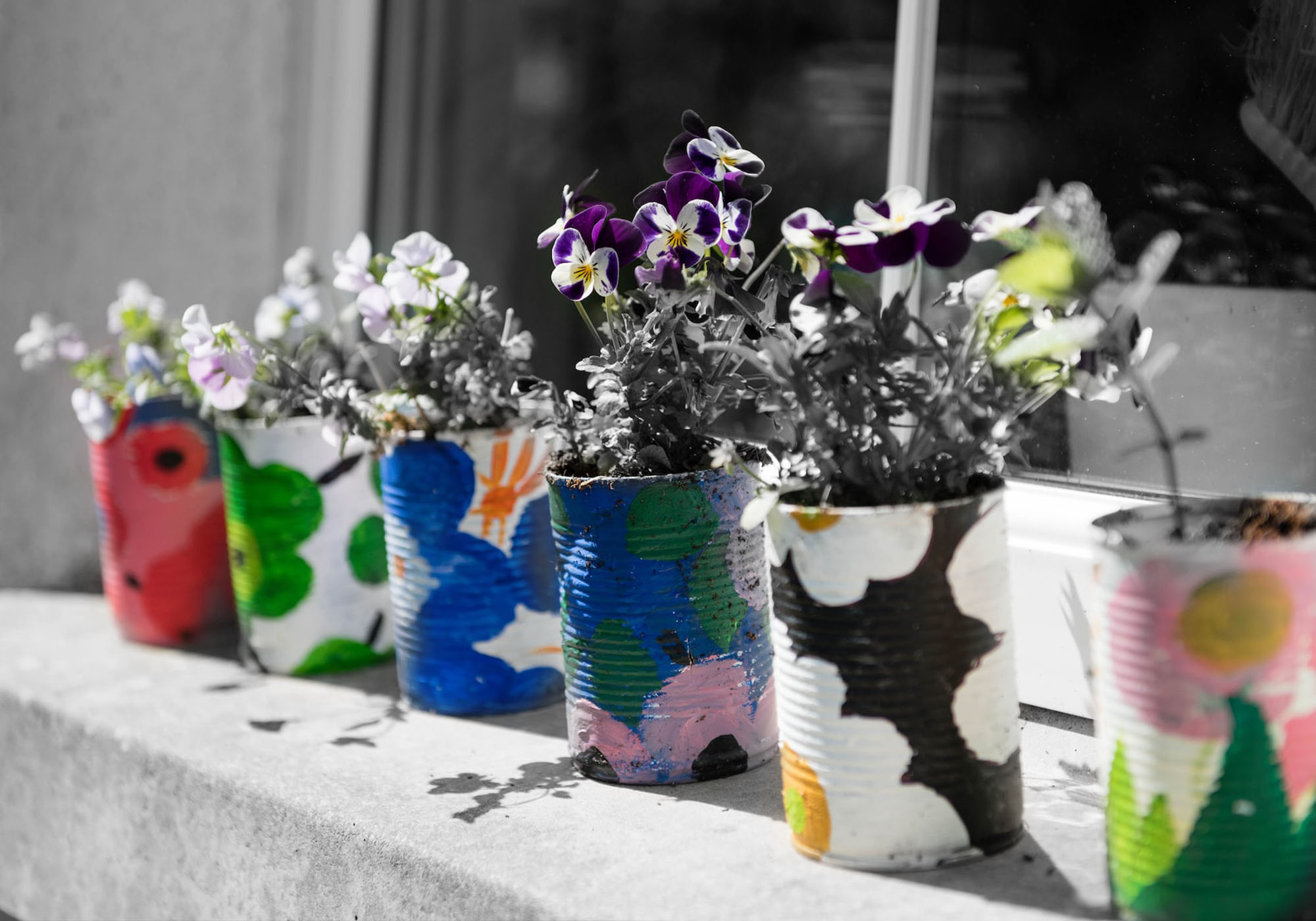 image of a windowsill of flowers in repurposed tin cans painted bright colors
