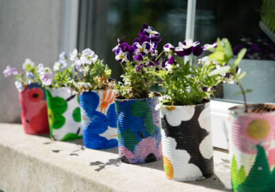 A row of repurposed tin cans for flower containers