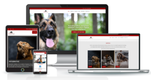 set of different size screens of veterinary website