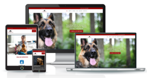 set of different size screens of veterinary website