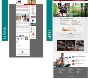 Before and After web redesign for veterinarian
