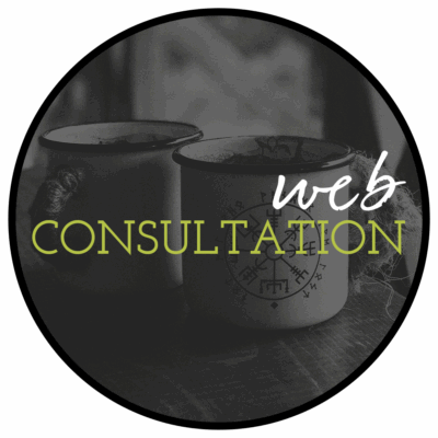 web strategy consultation