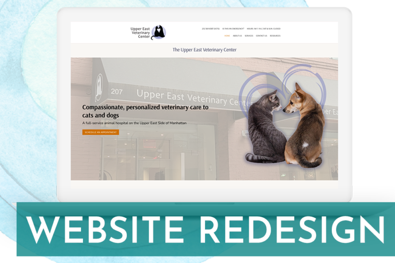 Website for Vet
