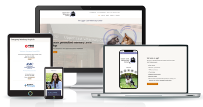 Website redesign for veterinarian