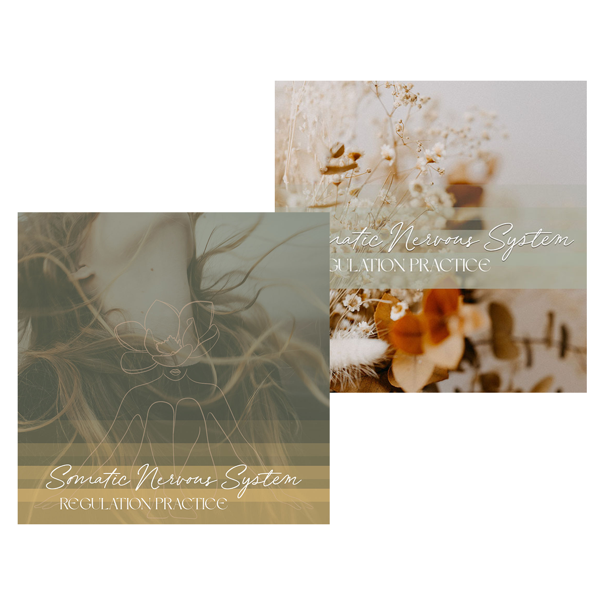 Custom workshop graphics for a somatic healer