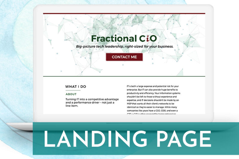 Landing page for virtual/fractional cio